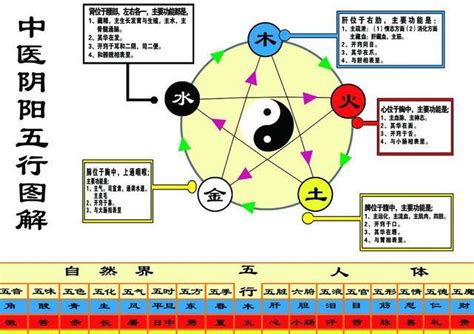 尚 五行|尚的五行属什么,尚字的五行属性,尚的寓意